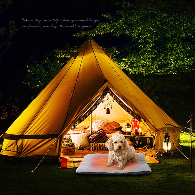 Outdoor Cat Warming Blanket